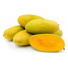 Fajri